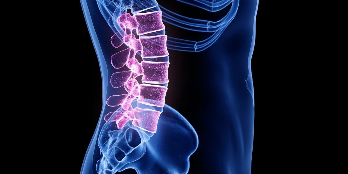 an x - ray image of the stomach showing the lumbals