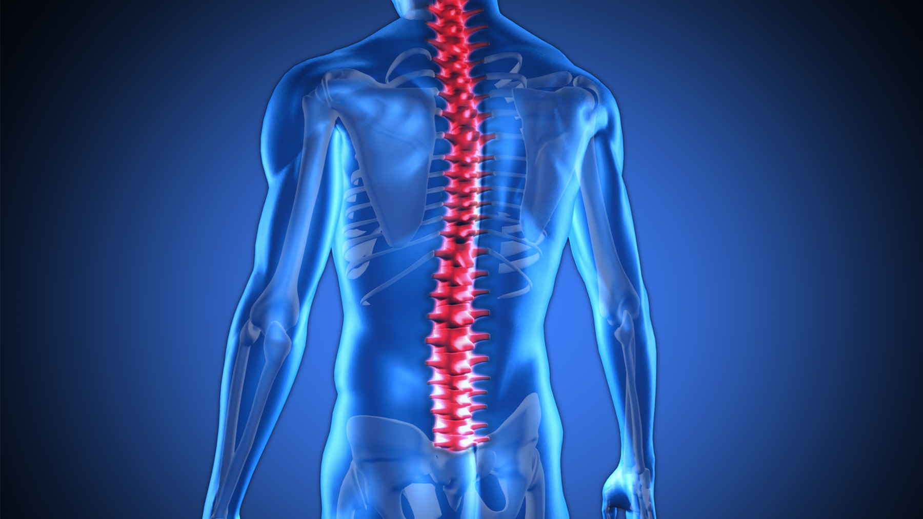 a man with a back spinal cord highlighted in red